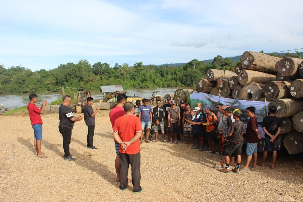 MASYARAKAT DANUM PAROY LAPORKAN PT NGU-5 KE POLRES KUBAR, KARENA MEMBABAT HUTAN ADAT SELUAS 984,6 HEKTARE 1 MASYARAKAT DANUM PAROY LAPORKAN PT NGU-5 KE POLRES KUBAR, KARENA MEMBABAT HUTAN ADAT SELUAS 984,6 HEKTARE 2