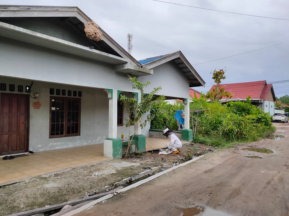 SARANGNYA DIUSIK, TAWON VESPA MENGAMUK, SATU EKOR ANJING TEWAS KENA SENGATANNYA 2 SARANGNYA DIUSIK, TAWON VESPA MENGAMUK, SATU EKOR ANJING TEWAS KENA SENGATANNYA 3