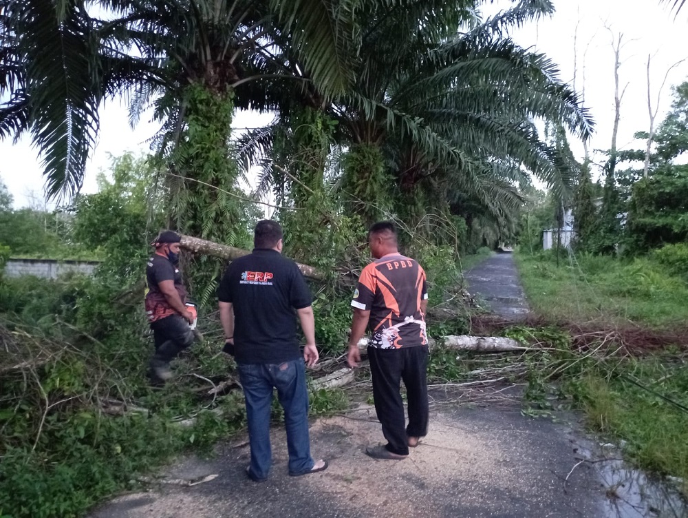 JELANG BERBUKA PUASA, TRC BPBD KOTA PALANGKA RAYA BERKOLABORASI DENGAN TIM ERP TANGANI POHON TUMBANG 1 JELANG BERBUKA PUASA, TRC BPBD KOTA PALANGKA RAYA BERKOLABORASI DENGAN TIM ERP TANGANI POHON TUMBANG 2