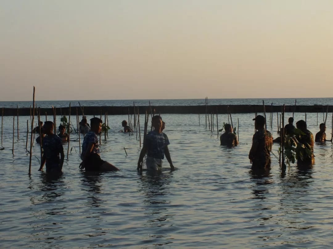 ATASI ABRASI, DANDIM PANGKALAN BUN MENGIKUTI TANAM MANGROVE SERENTAK 2 ATASI ABRASI, DANDIM PANGKALAN BUN MENGIKUTI TANAM MANGROVE SERENTAK 3