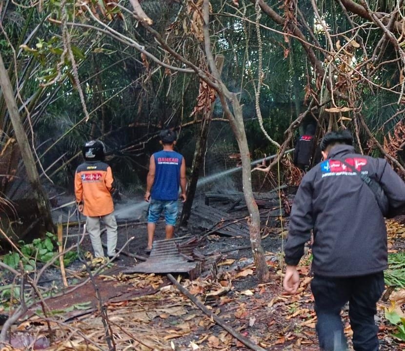 BAKAR SAMPAH, KANDANG AYAM TERBAKAR 1 BAKAR SAMPAH, KANDANG AYAM TERBAKAR 2