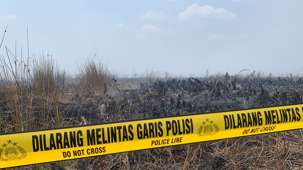 Kebakaran Lahan di Petuk Katimpun, Polisi Langsung Lakukan Olah TKP dan Panggil Pemilik Lahan yang Terbakar 1 Kebakaran Lahan di Petuk Katimpun, Polisi Langsung Lakukan Olah TKP dan Panggil Pemilik Lahan yang Terbakar 2