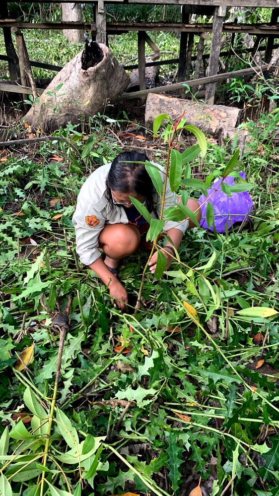 COMODO MAPALA FEB UPR MENANAM 1.000 MANGROVE DALAM EKSPEDISI KAHAYAN II SEKALIGUS MEMPERINGATI HUT KE-78 RI 3 COMODO MAPALA FEB UPR MENANAM 1.000 MANGROVE DALAM EKSPEDISI KAHAYAN II SEKALIGUS MEMPERINGATI HUT KE-78 RI 4