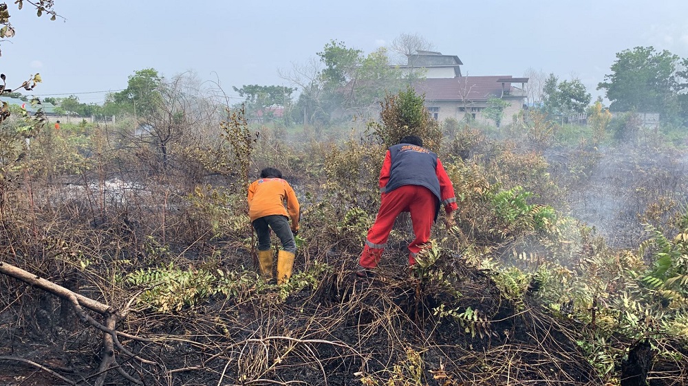 Minim Air Akibat Kekeringan, Satgas Karhutla Lakukan Pemadaman Menggunakan Dahan Ranting Untuk Padamkan Api 1 Minim Air Akibat Kekeringan, Satgas Karhutla Lakukan Pemadaman Menggunakan Dahan Ranting Untuk Padamkan Api 2