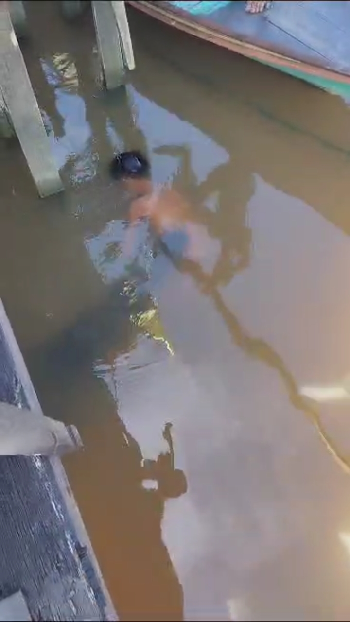 Mengerikan... Seorang Anak Kecil Diterkam Buaya Saat Berenang di Sungai Arut 1 Mengerikan... Seorang Anak Kecil Diterkam Buaya Saat Berenang di Sungai Arut 2